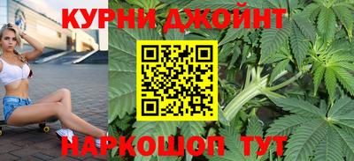 прущие грибы Сочи