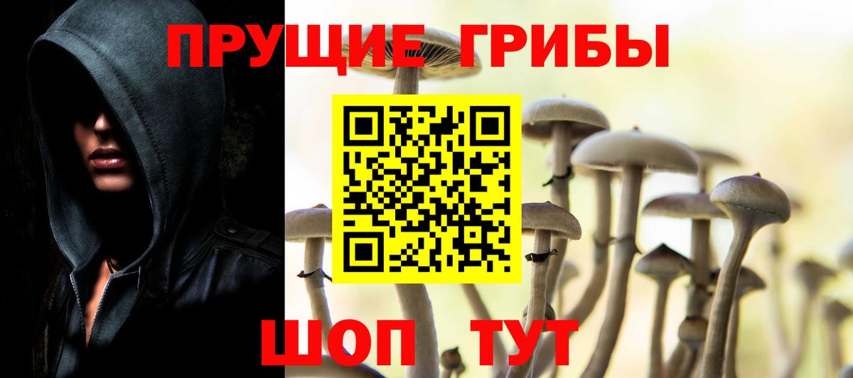 Галлюциногенные грибы ЛСД  Галлюциногенные грибы GOLDEN TEACHER  Вход с VPN  Киселёвск 